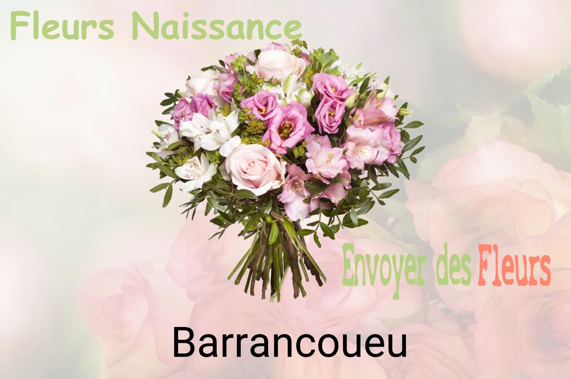 Bouquet de fleurs de naissance livré à Barrancoueu